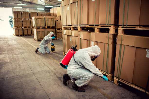 Best Rat Extermination Near Me  in Rogersville, MO
