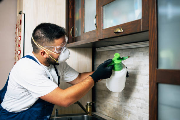 Best Bed Bug Extermination  in Rogersville, MO