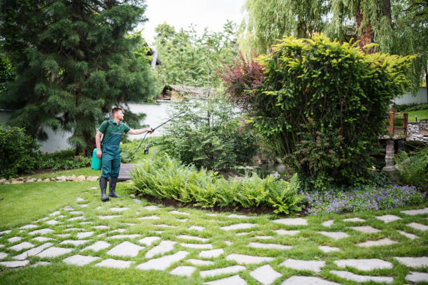 Best Pest Control Treatment  in Rogersville, MO