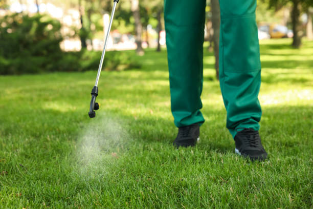Best Exterminator Services  in Rogersville, MO
