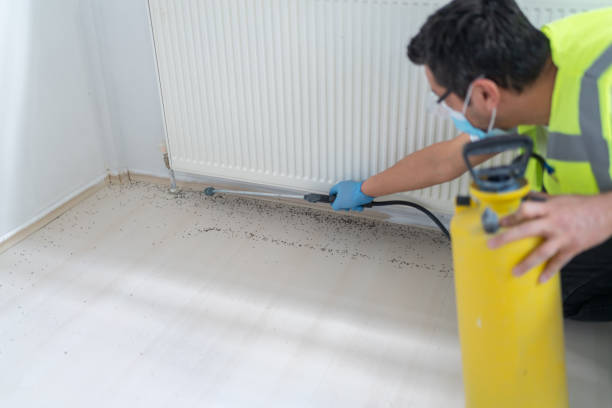Best Cockroach Control Services  in Rogersville, MO